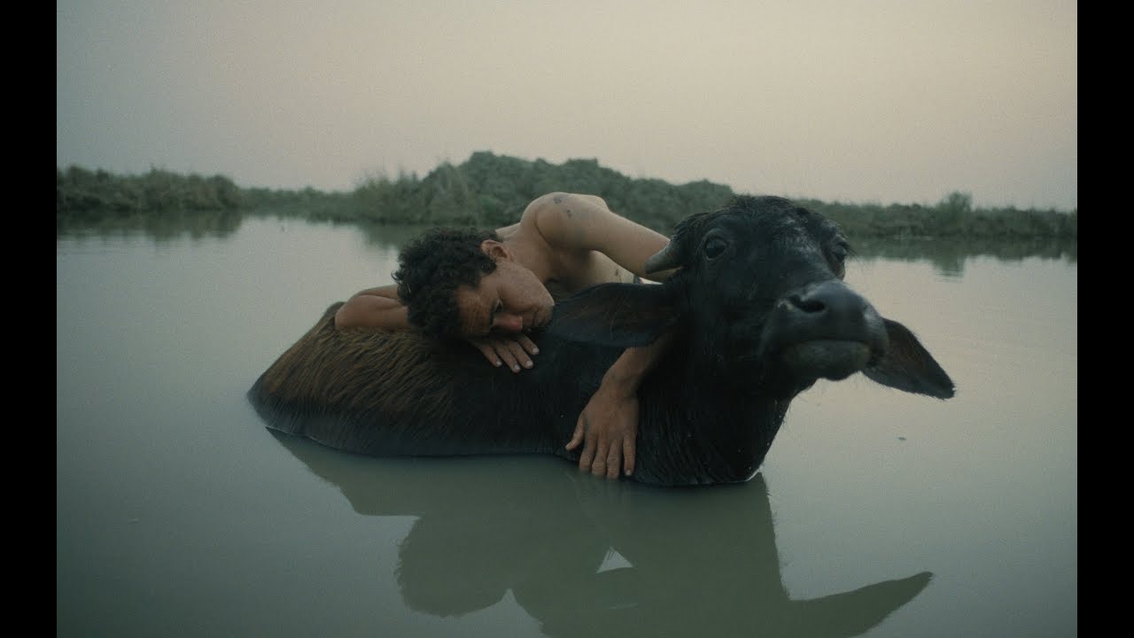 Beneath Which Rivers Flow Trailer