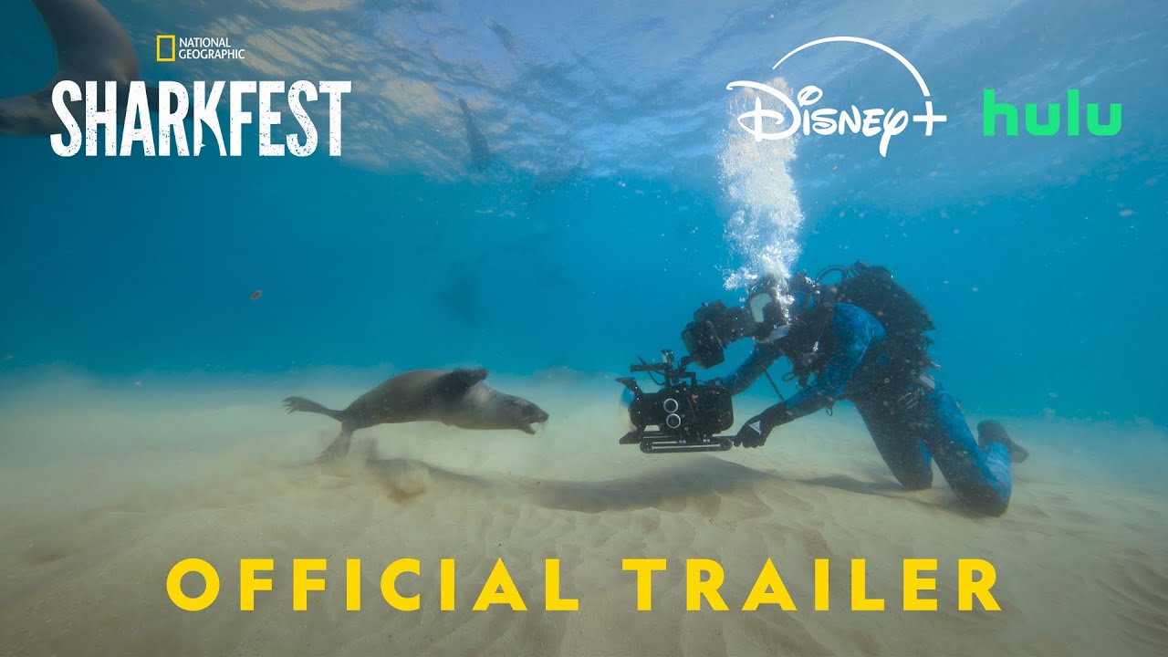 Sharks Up Close with Bertie Gregory Trailer